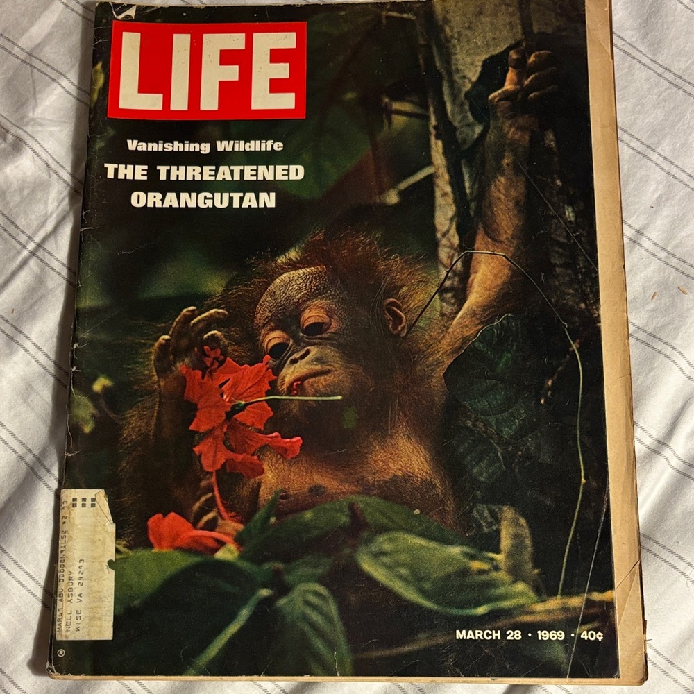 Life Magazine - Vanishing Wildlife Issue March 28 1969